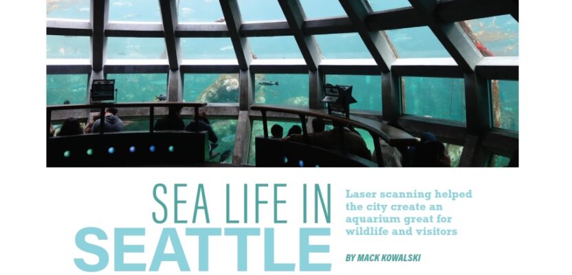 Sea Life in Seattle
